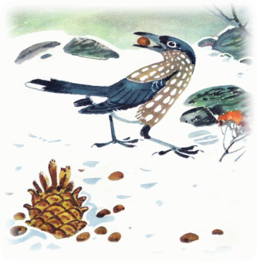 Picture 102