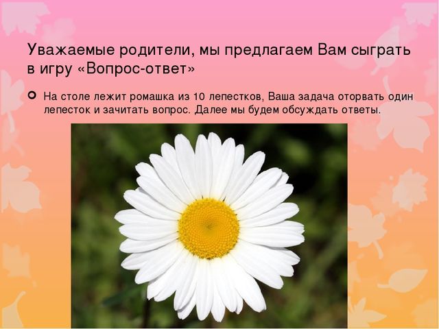 Презентация родительского союрания "Семейные традиции"