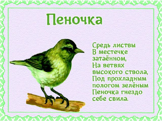 Презентация "Детям о перелетных птицах"