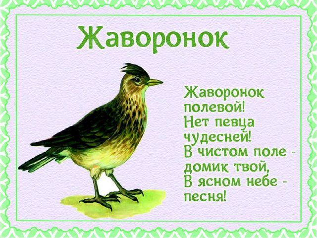 Презентация "Детям о перелетных птицах"