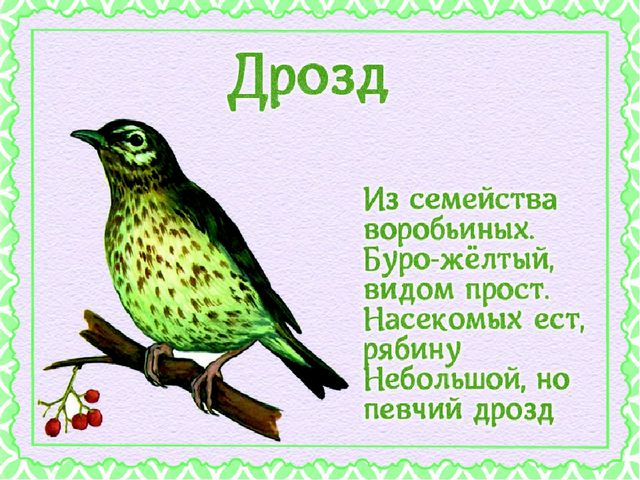 Презентация "Детям о перелетных птицах"