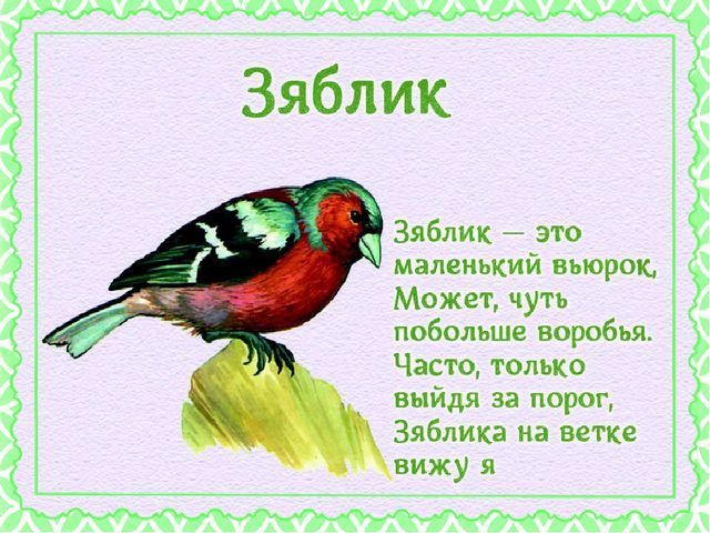 Презентация "Детям о перелетных птицах"