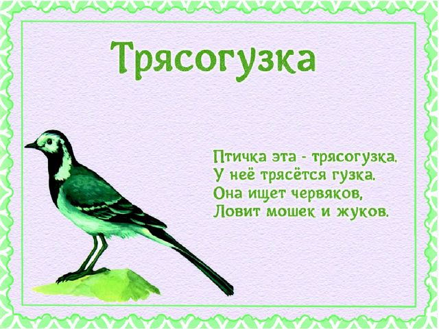 Презентация "Детям о перелетных птицах"