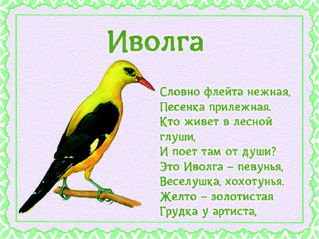 Презентация "Детям о перелетных птицах"