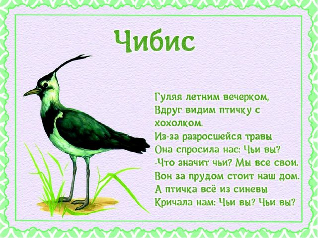 Презентация "Детям о перелетных птицах"