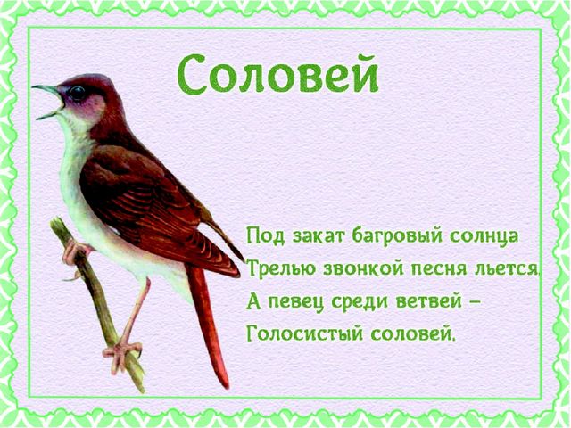 Презентация "Детям о перелетных птицах"