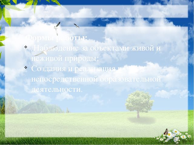 Методическая разработка "В мире животных и птиц"