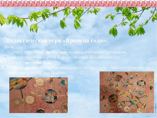 Методическая разработка "В мире животных и птиц"