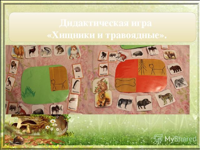 Методическая разработка "В мире животных и птиц"
