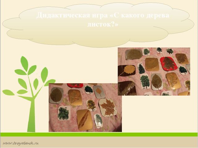 Методическая разработка "В мире животных и птиц"