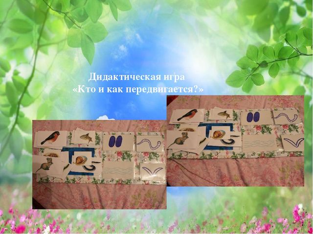 Методическая разработка "В мире животных и птиц"