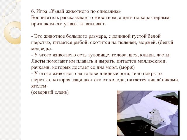 Презентация по экологии "Животные севера"