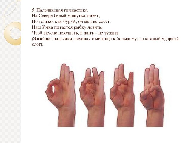 Презентация по экологии "Животные севера"