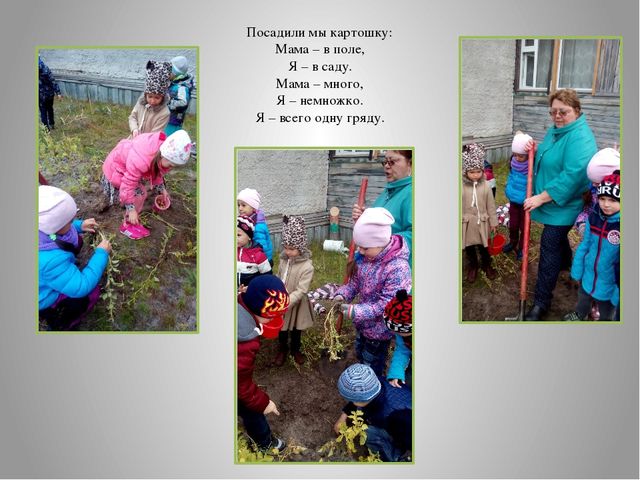 "Неделя здоровья в детском саду"
