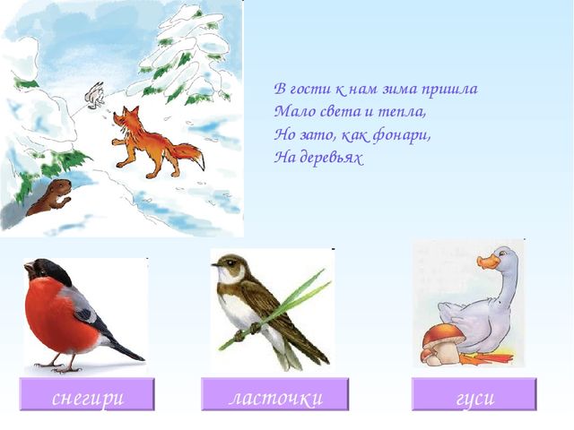 Презентация "Птички разных народов" для младших дошкольников