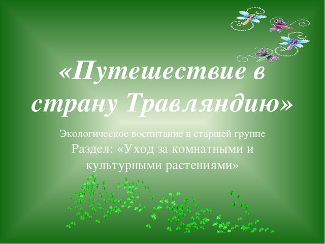 «Путешествие в страну Травляндию» Экологическое воспитание в старшей группе Раздел: «Уход за комнатными и культурными растениями»