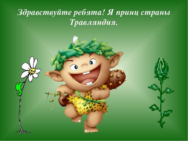 «Путешествие в страну Травляндию» Экологическое воспитание в старшей группе Раздел: «Уход за комнатными и культурными растениями»