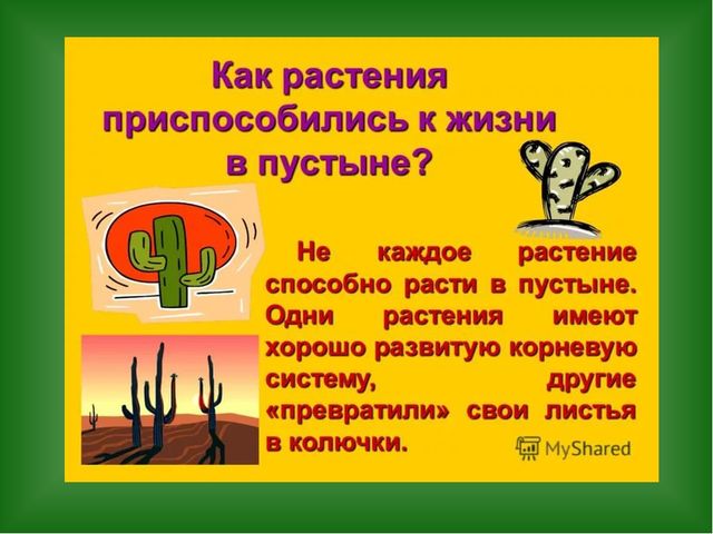 «Путешествие в страну Травляндию» Экологическое воспитание в старшей группе Раздел: «Уход за комнатными и культурными растениями»