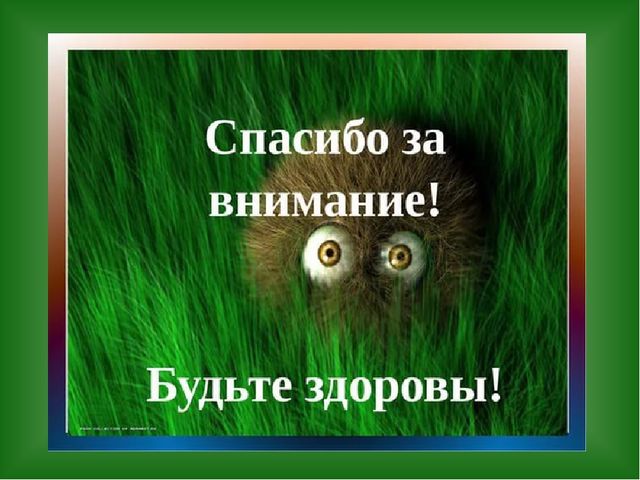 «Путешествие в страну Травляндию» Экологическое воспитание в старшей группе Раздел: «Уход за комнатными и культурными растениями»