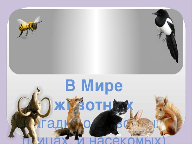 Презентация к интеллектуальной игре для дошкольников «Хочу всё знать»