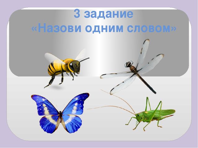 Презентация к интеллектуальной игре для дошкольников «Хочу всё знать»