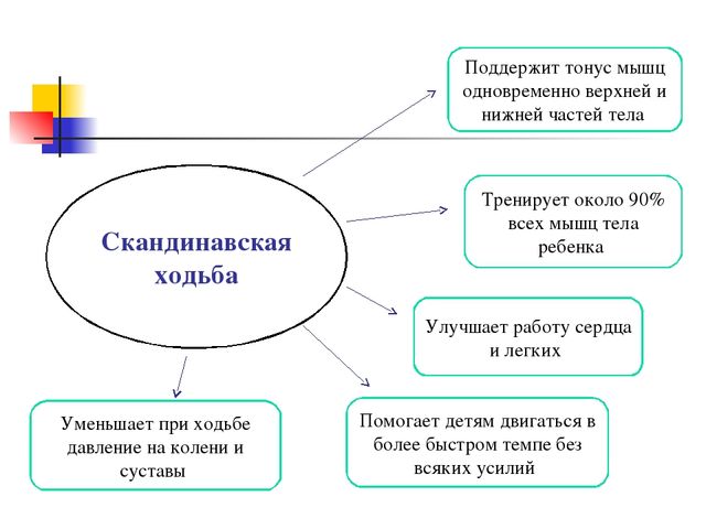 Скандинавская ходьба как способ укрепления здоровья.