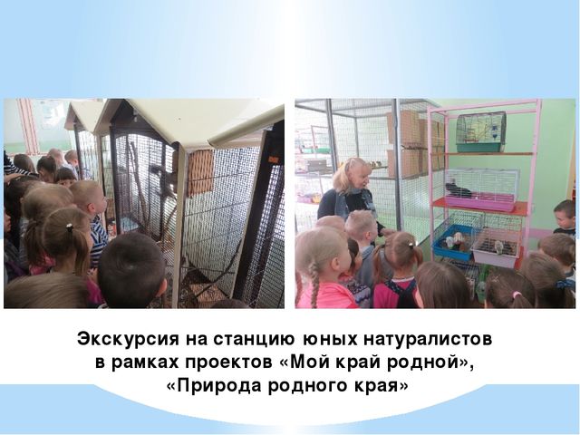Презентация "С чего начинается Родина"