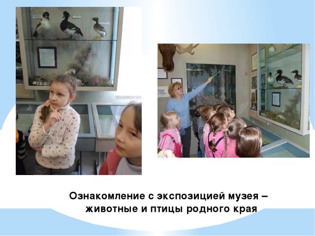 Презентация "С чего начинается Родина"