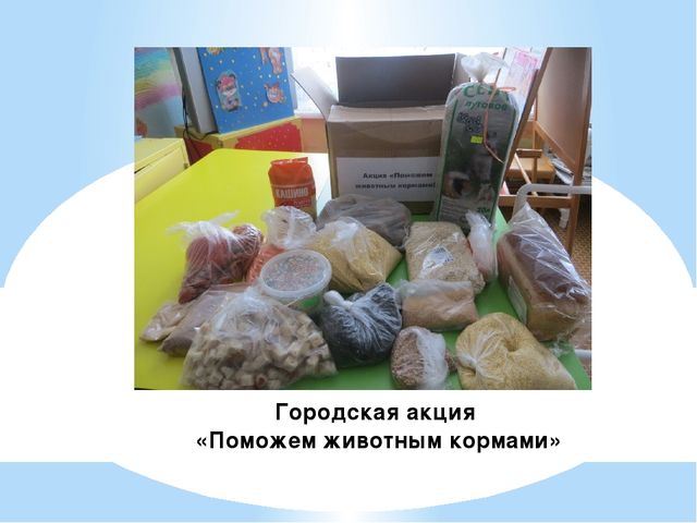 Презентация "С чего начинается Родина"