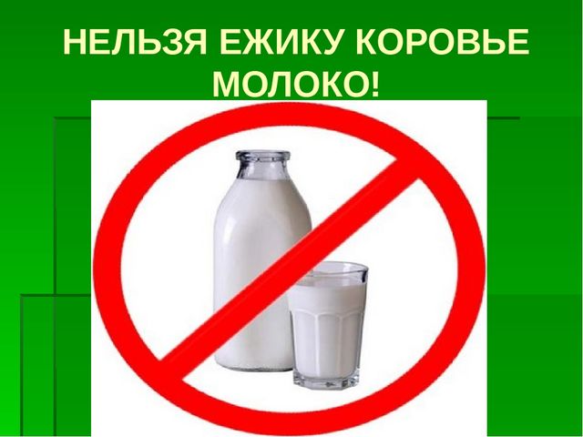 К сценарию проекта «Ежик» 2 младшая группа