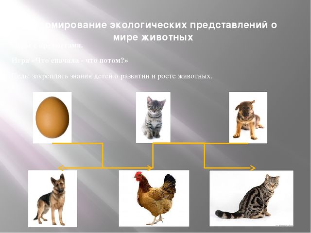 "Дидактическая игра как средство экологического образования дошкольников"