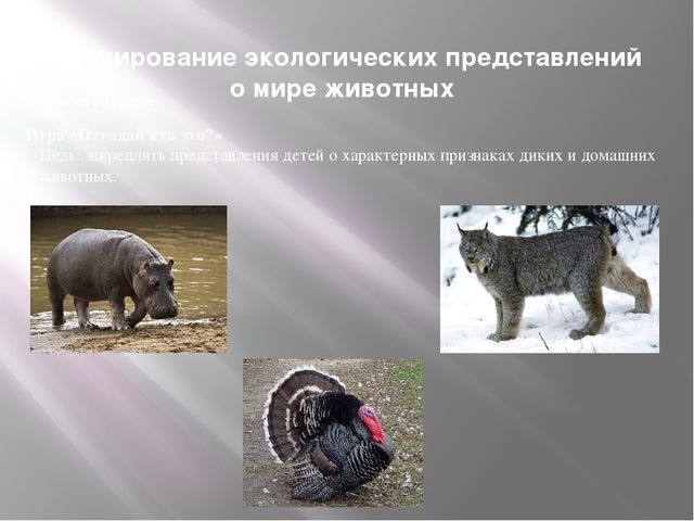 "Дидактическая игра как средство экологического образования дошкольников"