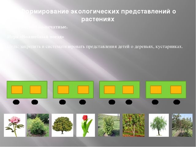 "Дидактическая игра как средство экологического образования дошкольников"