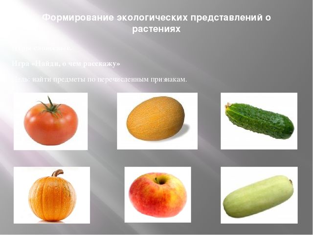 "Дидактическая игра как средство экологического образования дошкольников"
