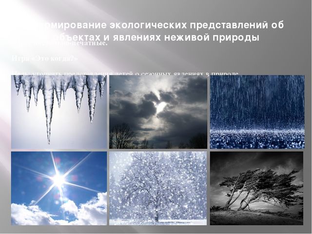 "Дидактическая игра как средство экологического образования дошкольников"