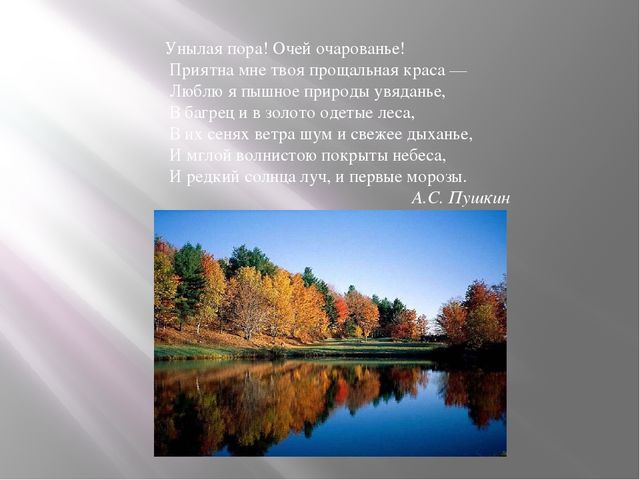 "Дидактическая игра как средство экологического образования дошкольников"