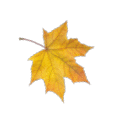67bb10594dce.png