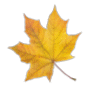 67bb10594dce.png