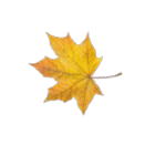 67bb10594dce.png