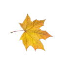 67bb10594dce.png