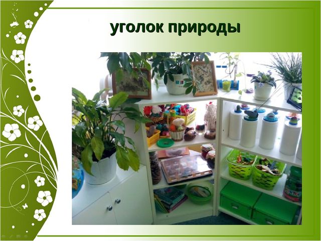 Презентация "Роль предметно-развивающей среды при адаптации" (Консультация для педагогов)