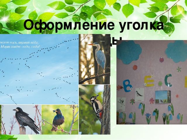 Экологическое воспитание детей дошкольного возраста через материал Т.Н. Дороновой «Детский календарь»