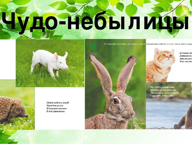 Экологическое воспитание детей дошкольного возраста через материал Т.Н. Дороновой «Детский календарь»