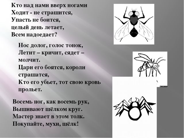 Презентация Сыскное агенство дошколят