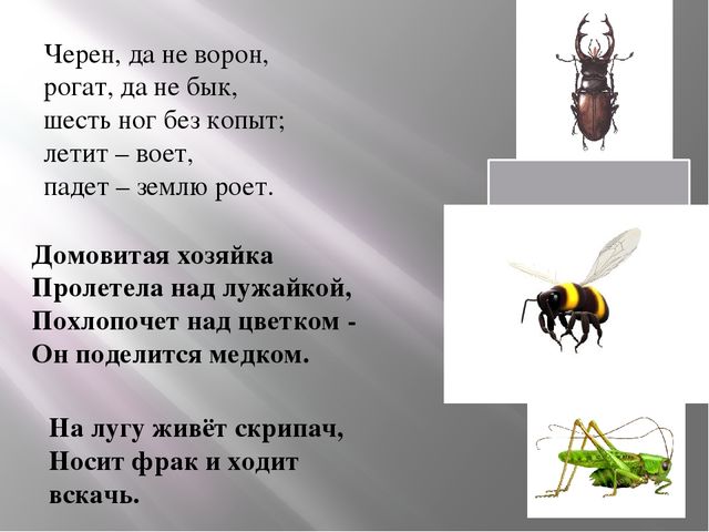 Презентация Сыскное агенство дошколят