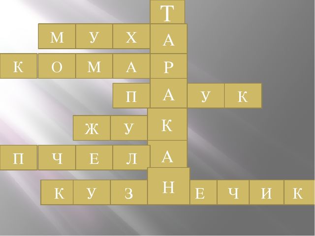 Презентация Сыскное агенство дошколят