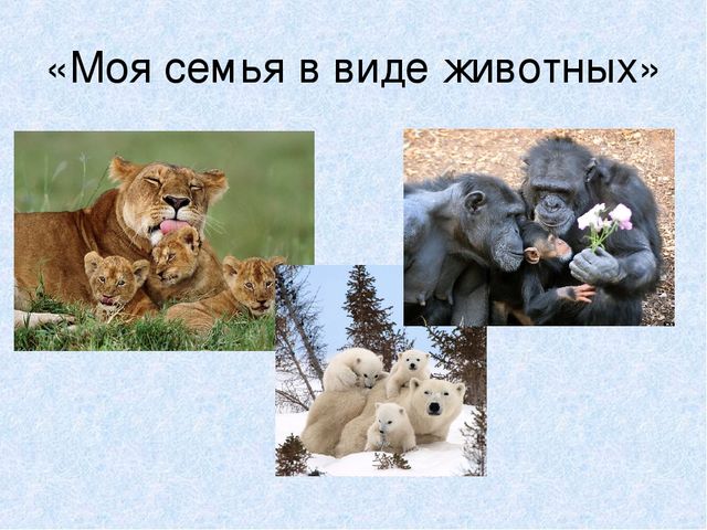 Презентация к родительскому собранию на тему:"Как хорошо, что есть семья, которая от разных бед везде хранит меня".