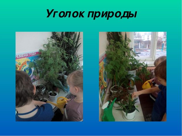 Предметно развивающая среда в подготовительной группе