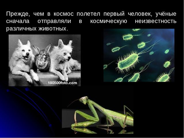 Презентация "Покорение космоса" к ООД «Путешествие в космос» Старшая группа
