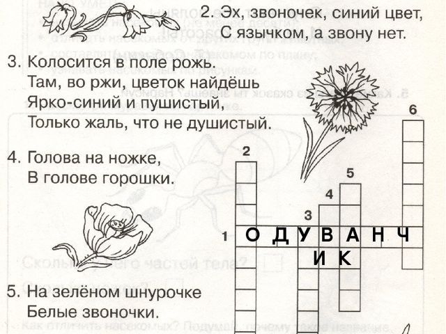 Презентация по окружающему миру "Растительный мир.Цветы"